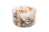 beige and white coral and shell pack